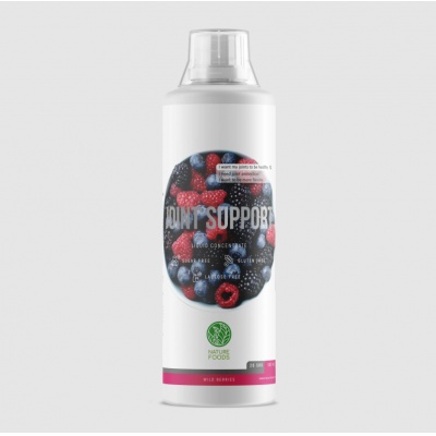  Nature Foods Joint Support Concetrate 500 